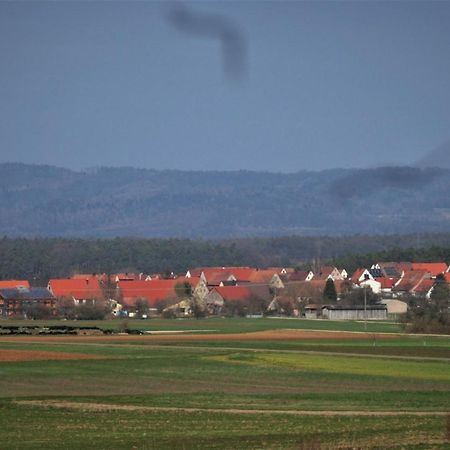 Ferien-Messe-Handwerkerwohnung-Haustiere willkommen Lauf an der Pegnitz Exterior foto